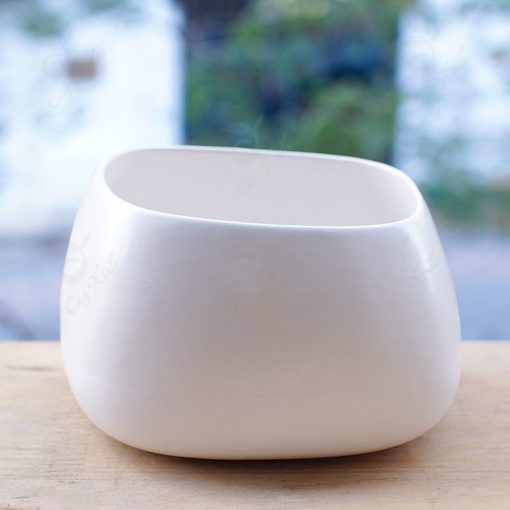 Chậu Gốm Sứ Asa Cao nhập khẩu Hàn